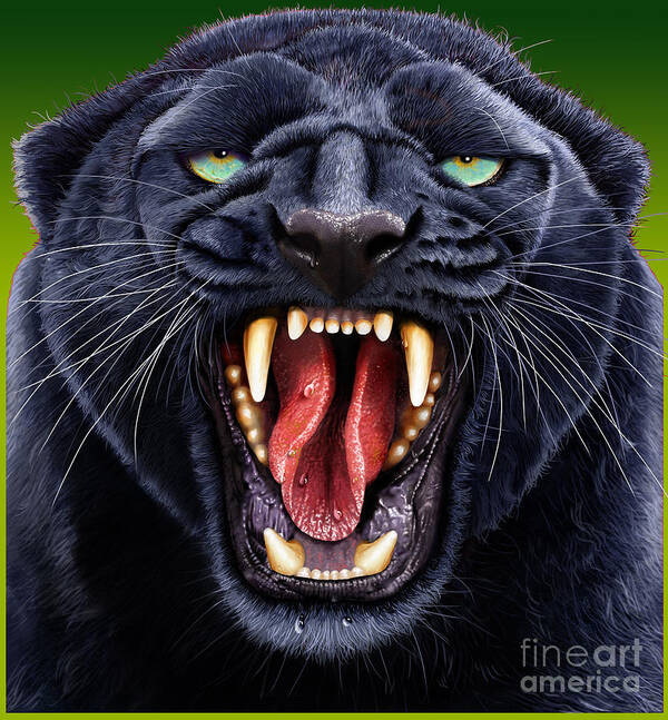 Panther by Zamoyski - Fine Art America