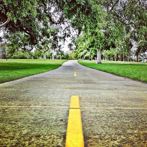  Poster featuring the photograph Pathway To Serenity...or To The Pull-up by Heather Ennis