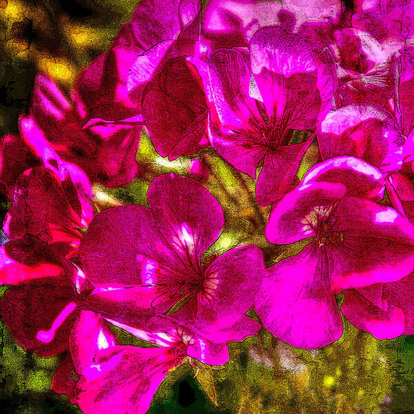 Pink Poster featuring the photograph Pink Flowers Lustre by Chris McKenna