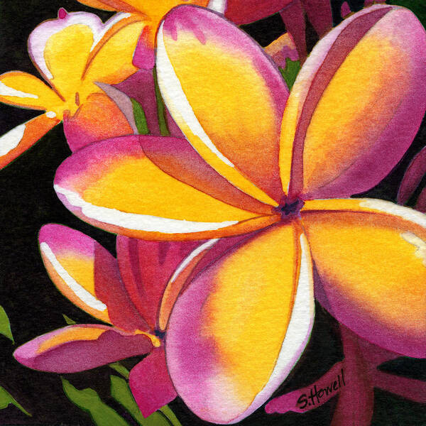 Frangipani Poster featuring the painting Pink Frangipani by Sandi Howell