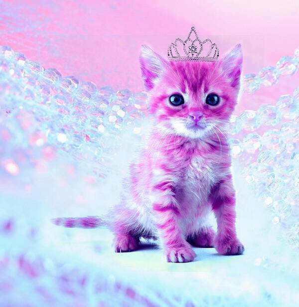 Pink Poster featuring the digital art Pink Kitty princess by Lilia D