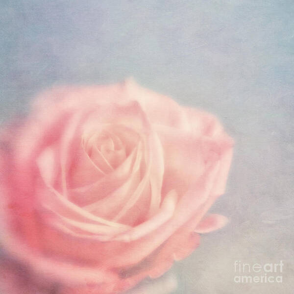 Lensbaby Poster featuring the photograph pink moments I by Priska Wettstein