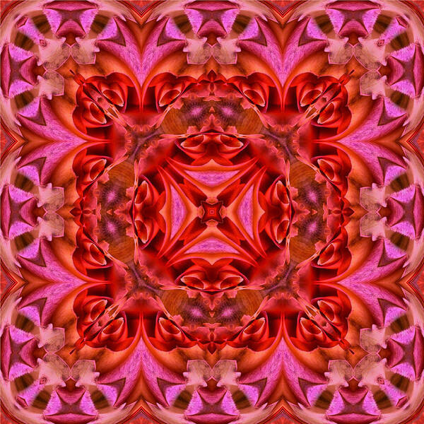 Kaleidoscope Poster featuring the digital art Pink Perfection No 3 by Charmaine Zoe