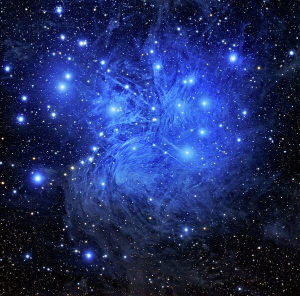 Astronomy Poster featuring the photograph Pleiades Star Cluster by Tony & Daphne Hallas