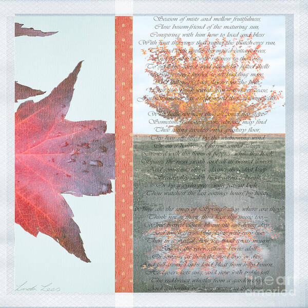 Autumn Poster featuring the photograph Poetry of Autumn by Linda Lees