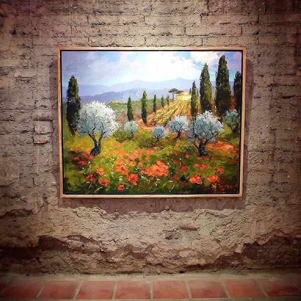  Poster featuring the photograph poppy Fields, Tuscany By Evelyne by Natasha Marco