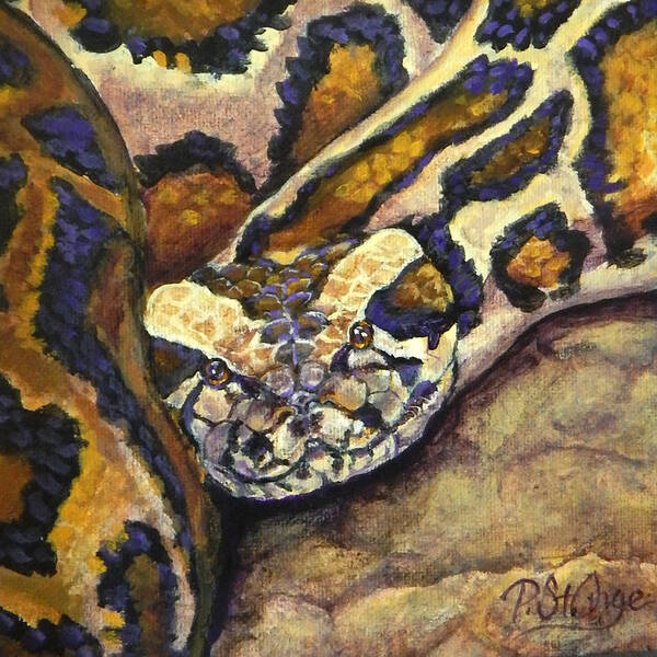 Wildlife Poster featuring the painting Python by Pat St Onge