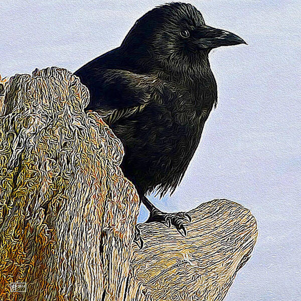 Pavelle Fine Art Poster featuring the digital art Ravenish by Jim Pavelle