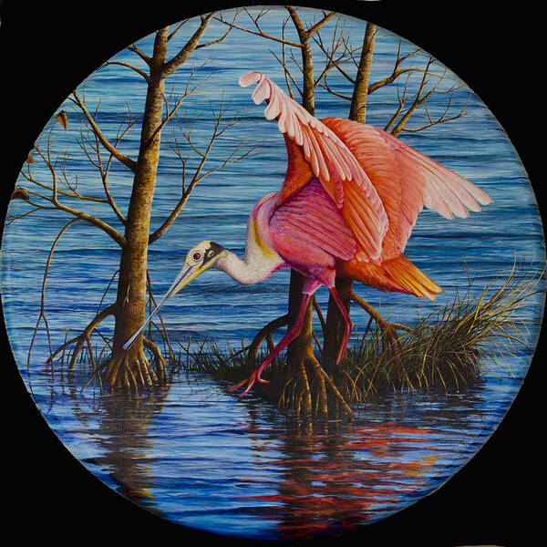 Roseate Spoonbill Poster featuring the painting Red Eye by AnnaJo Vahle