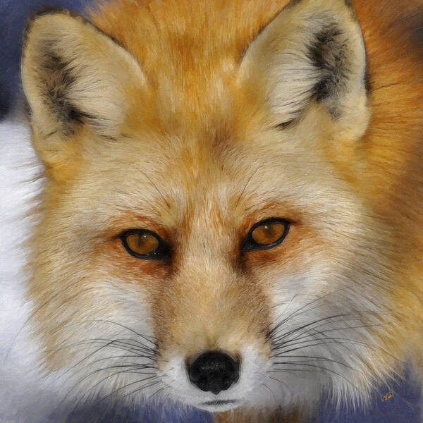 Red Fox Poster featuring the painting Red Fox by Dean Wittle