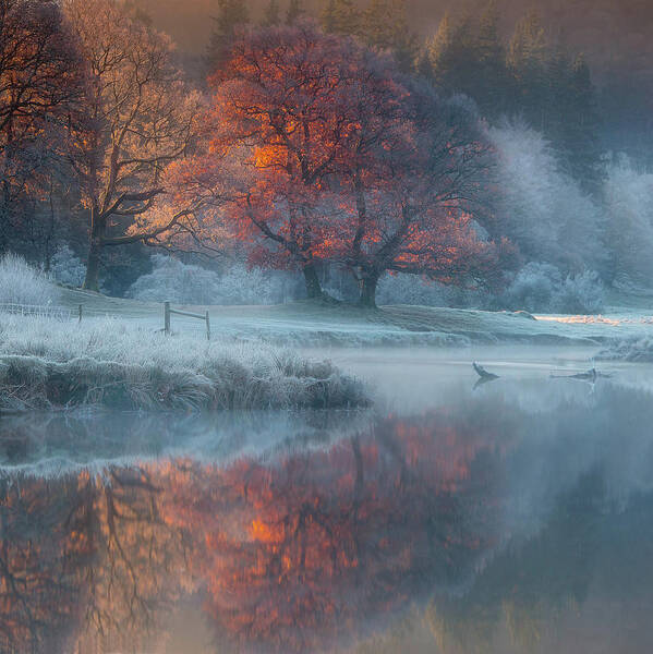 Winter Poster featuring the photograph River Brathay by Wolfy