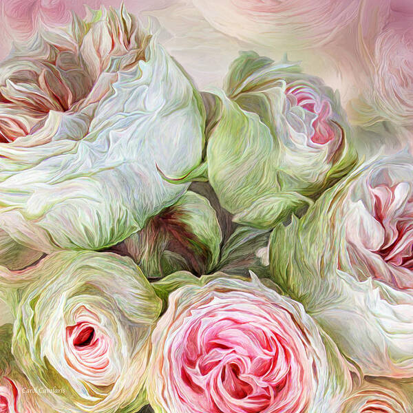 Rose Poster featuring the mixed media Rose Moods - Harmony by Carol Cavalaris