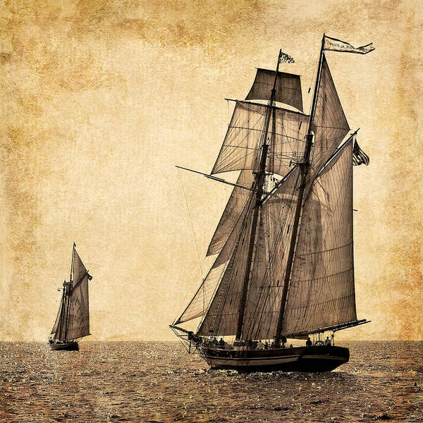 Schooners Poster featuring the photograph Schooner Race by Fred LeBlanc