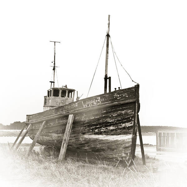 Aground Poster featuring the photograph Ship wreck by Tom Gowanlock