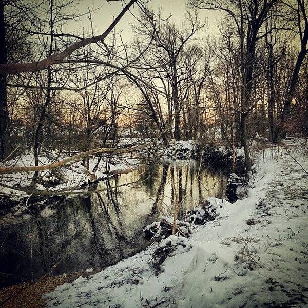Igers_philly Poster featuring the photograph Snow Along The Banks Of Mill Creek by Brian Harris