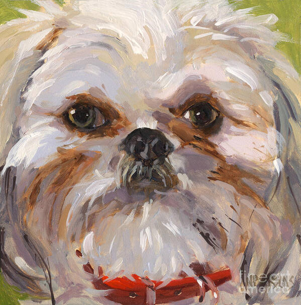 Shih Tzu Poster featuring the painting SOLD I'll Be Your Best Friend by Nancy Parsons