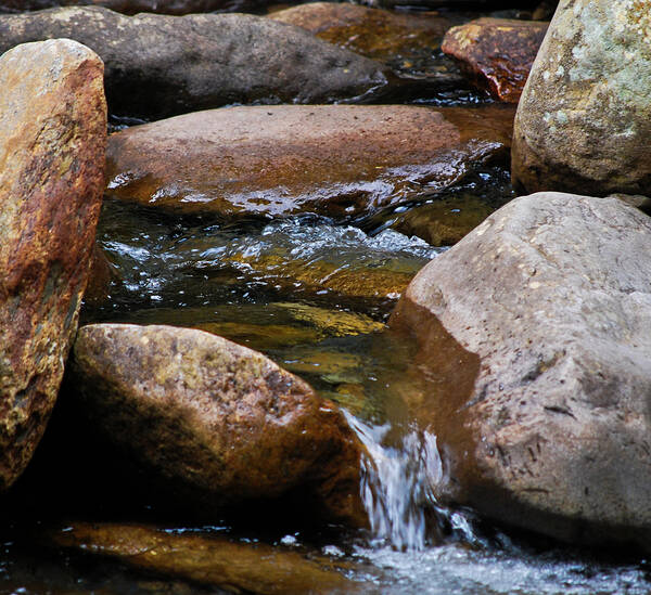 Creek Poster featuring the photograph Stones Flow by Christi Kraft