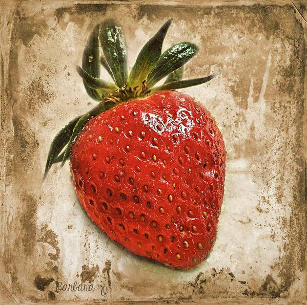 Strawberry Poster featuring the photograph Strawberry by Barbara Orenya