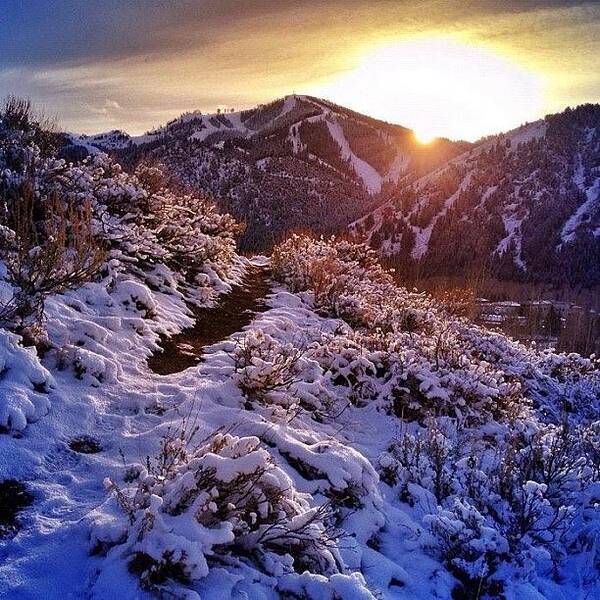 Baldy Poster featuring the photograph Sun Valley Sunset by Cody Haskell