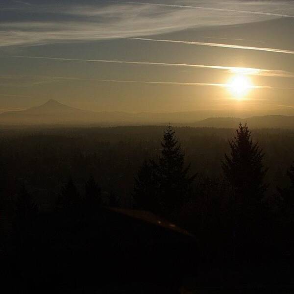  Poster featuring the photograph Sunrise This Morning In Portland by Mike Warner