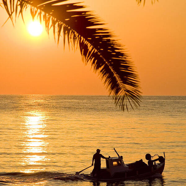Backgrounds Poster featuring the photograph Sunset boat at sea and palm tree by Raimond Klavins
