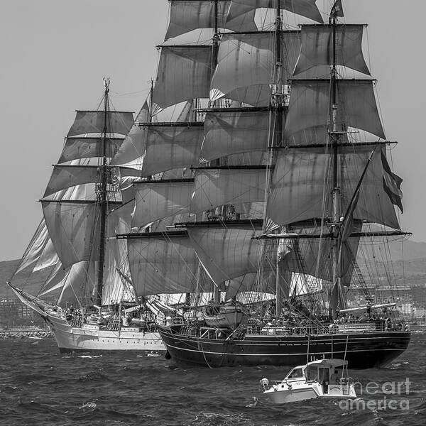 Tall Ships Poster featuring the photograph Tall Ship Stad Amsterdam by Pablo Avanzini