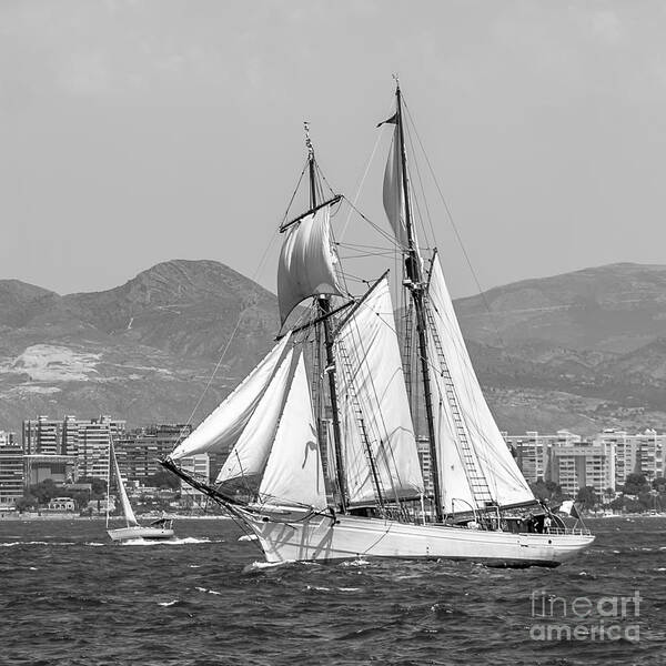 Tall Ships Poster featuring the photograph Tall Ships' Races by Pablo Avanzini