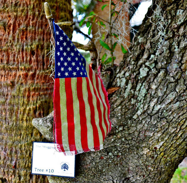 American Flag Poster featuring the photograph Tattered America by Patricia Greer