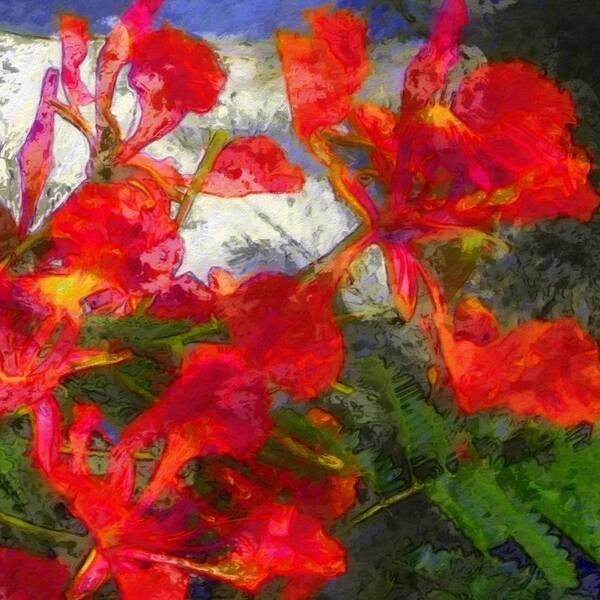 Sharkcrossing Poster featuring the painting S Textured Flamboyant Flowers - Square by Lyn Voytershark