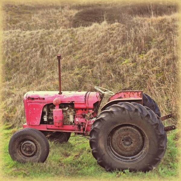 Mashine Poster featuring the photograph That Little #red #tractor From #norfolk by Linandara Linandara