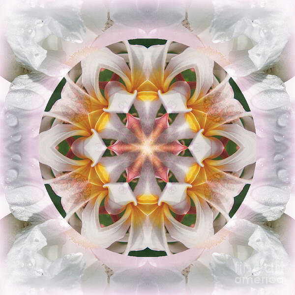 Mandala Poster featuring the photograph The Heart Knows by Alicia Kent