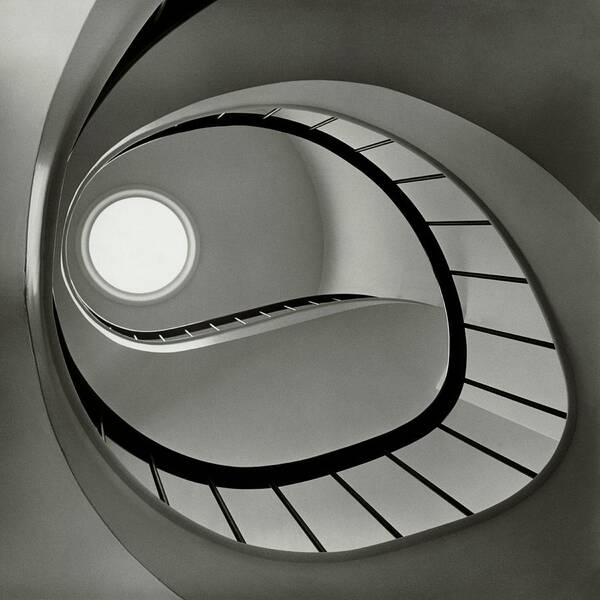 San Francisco Poster featuring the photograph The Staircase In Mr. And Mrs. Albert by Fred Lyon