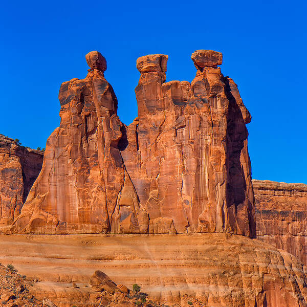 Landscape Poster featuring the photograph The Three Gossips by John M Bailey