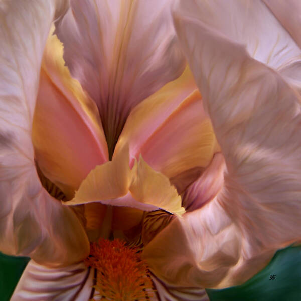 Tinkerbell Iris Poster featuring the photograph Tinkerbell Iris by Barbara St Jean