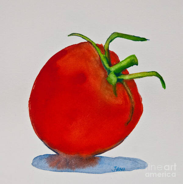 Food Pictures Poster featuring the painting Tomato Study by Jani Freimann