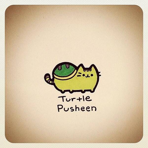  Poster featuring the photograph Turtle Pusheen by Turtle Wayne