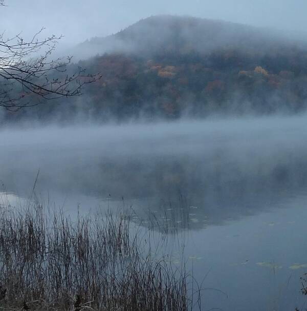 Lake Poster featuring the photograph Union by Catherine Arcolio