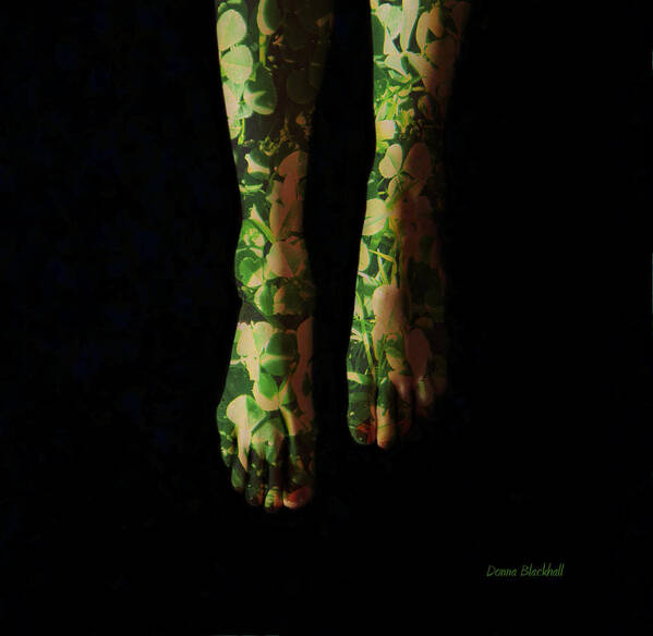 Feet Poster featuring the photograph Walking In Clover by Donna Blackhall