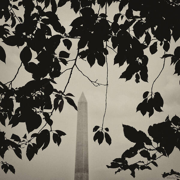 Washington Monument Poster featuring the photograph Washington Monument 2 by Joseph Hedaya
