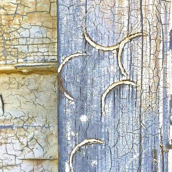 #weathered Poster featuring the photograph Weathered by Julie Gebhardt