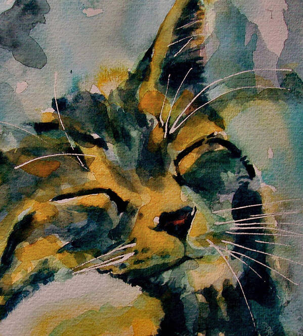 Cat Poster featuring the painting Weeeeeee Sleepee by Paul Lovering