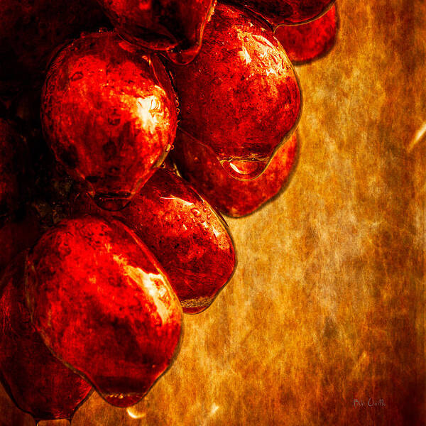 Rain Poster featuring the photograph Wet Grapes Three by Bob Orsillo