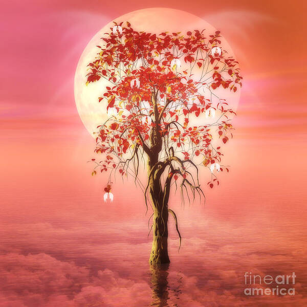 Tree Of Heaven Poster featuring the digital art Where Angels Bloom by John Edwards