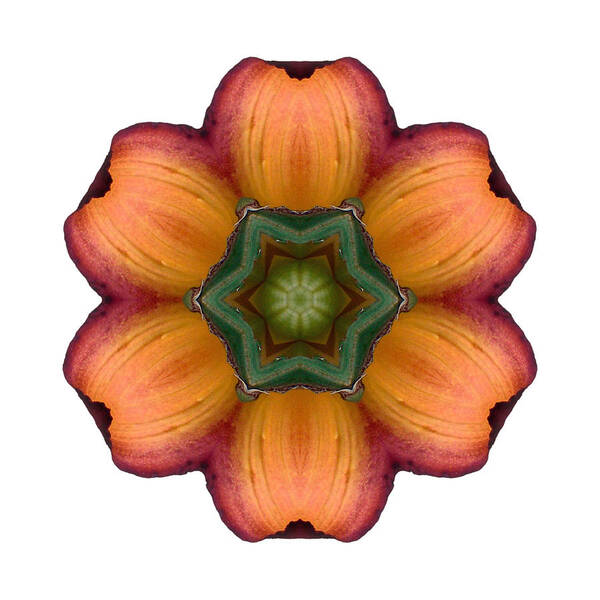 Flower Poster featuring the photograph Daylily I Flower Mandala White by David J Bookbinder