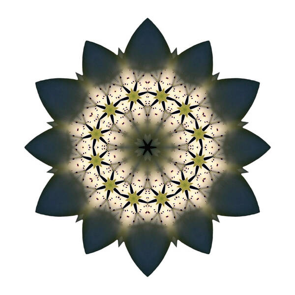 Flower Poster featuring the photograph White Lily III Flower Mandala White by David J Bookbinder