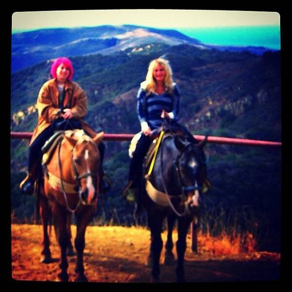  Poster featuring the photograph Who Is That Pink Haired Equestrian by Susan Neufeld