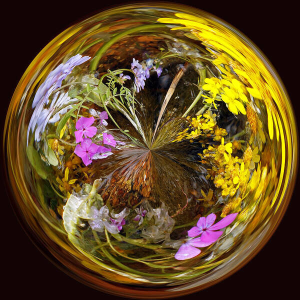 Abstract Poster featuring the photograph Wildflower Paperweight by Gary Holmes