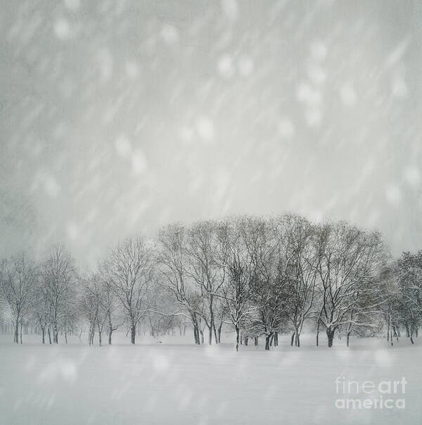 Winter Poster featuring the photograph Winter by Jelena Jovanovic