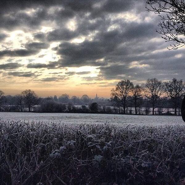 Landscape Poster featuring the photograph Winter Morning In Kent by Nic Squirrell