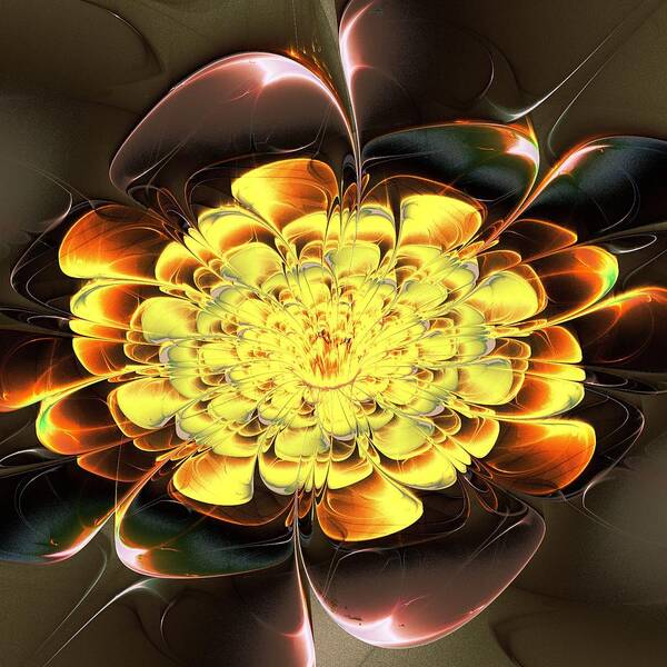 Plant Poster featuring the digital art Yellow Water Lily by Anastasiya Malakhova